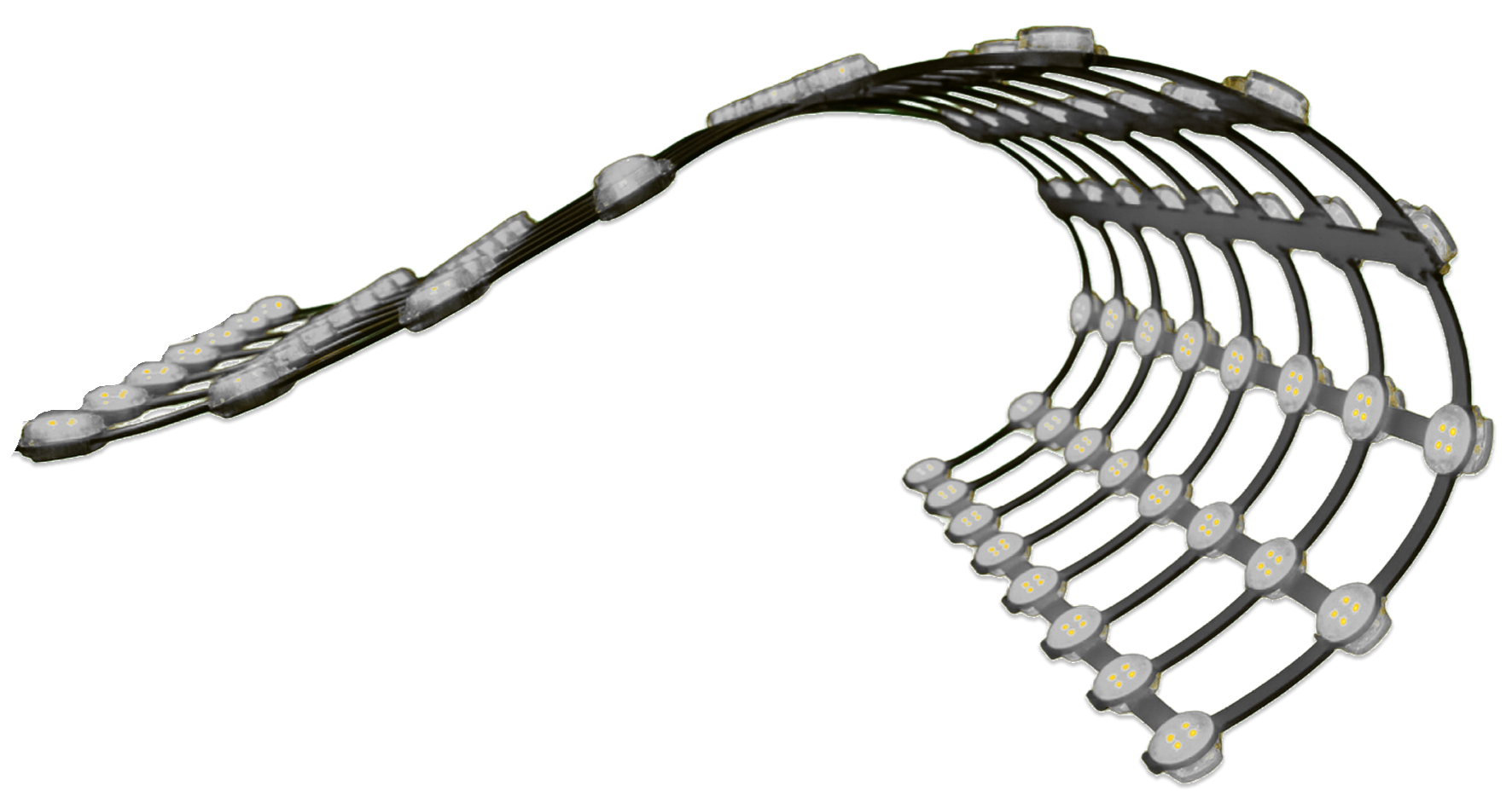 bca5d461-7c3a-4a64-9c7c-4627cc3f0091-1